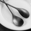 Elegant Black Leaf Coffee Spoons - 10-Piece, 4.7" Mini Stainless Steel Espresso & Dessert Tea Spoons, Perfect for Demitasse & Small Servings